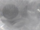 16782902569932083043761812040786.jpg
