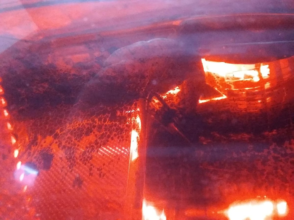 16783705875346570482032958242371.jpg