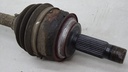 DSC08202.JPG