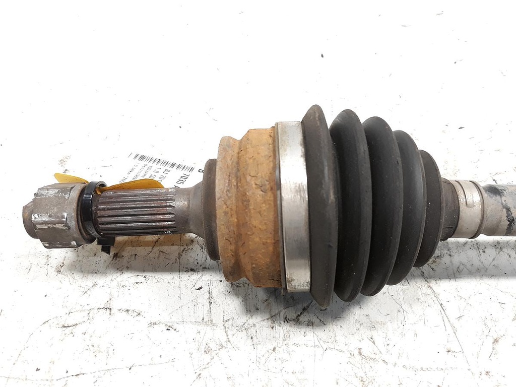 20230315_133621.jpg