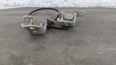 PXL_20230315_075605446.jpg