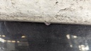 PXL_20230317_100850913.jpg