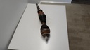 20230326_075929.jpg