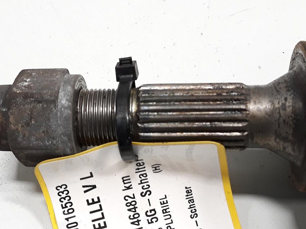 20230328_155423.jpg