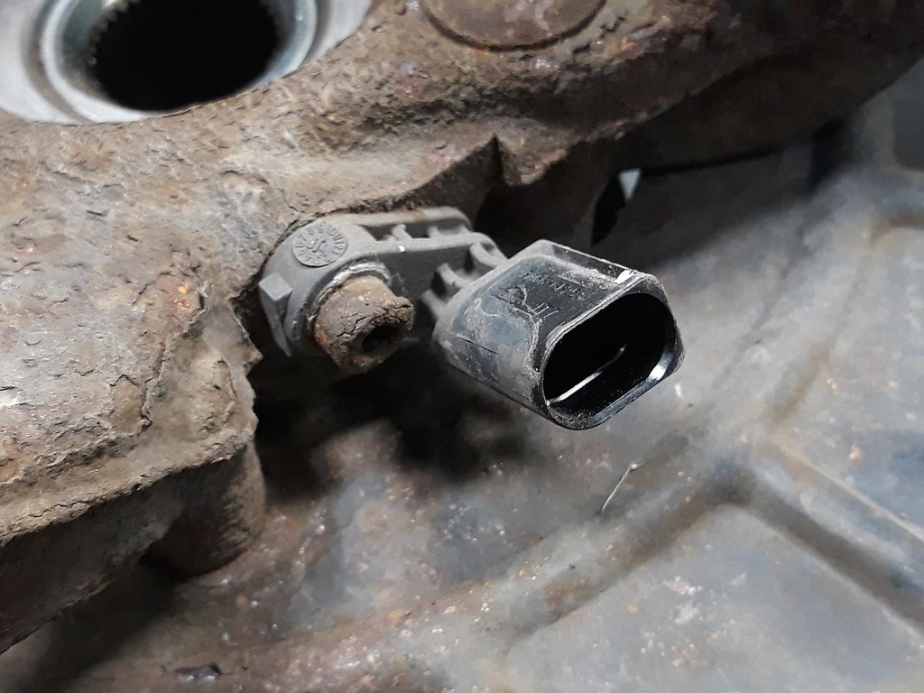 20230401_104340.jpg