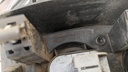 PXL_20230403_123424291.jpg