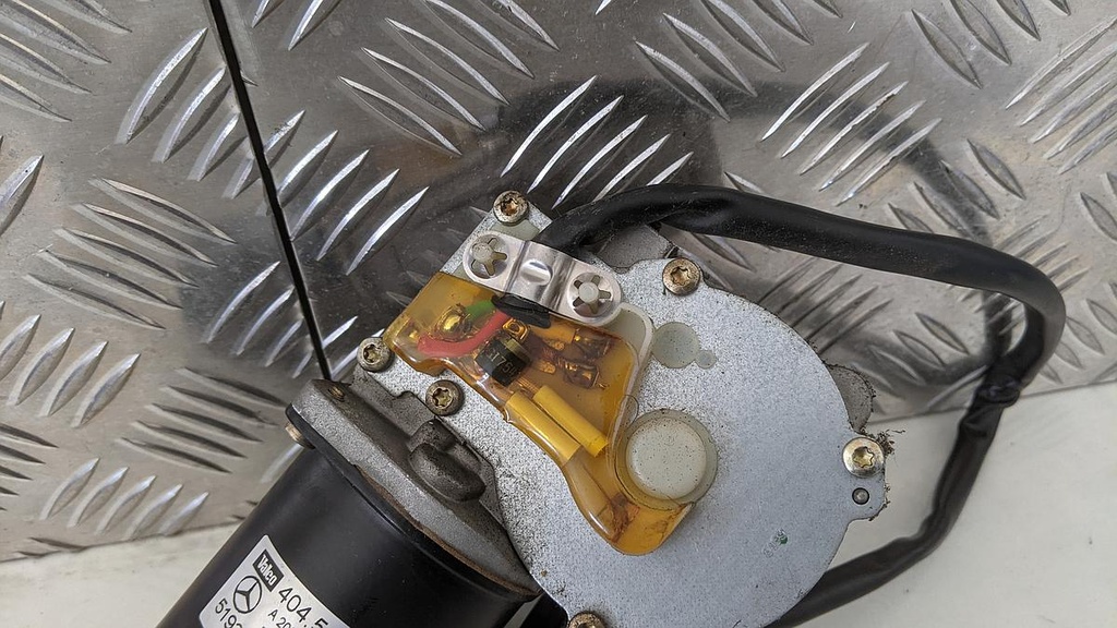 PXL_20230405_123058161.jpg