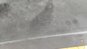 PXL_20230404_110500497.jpg