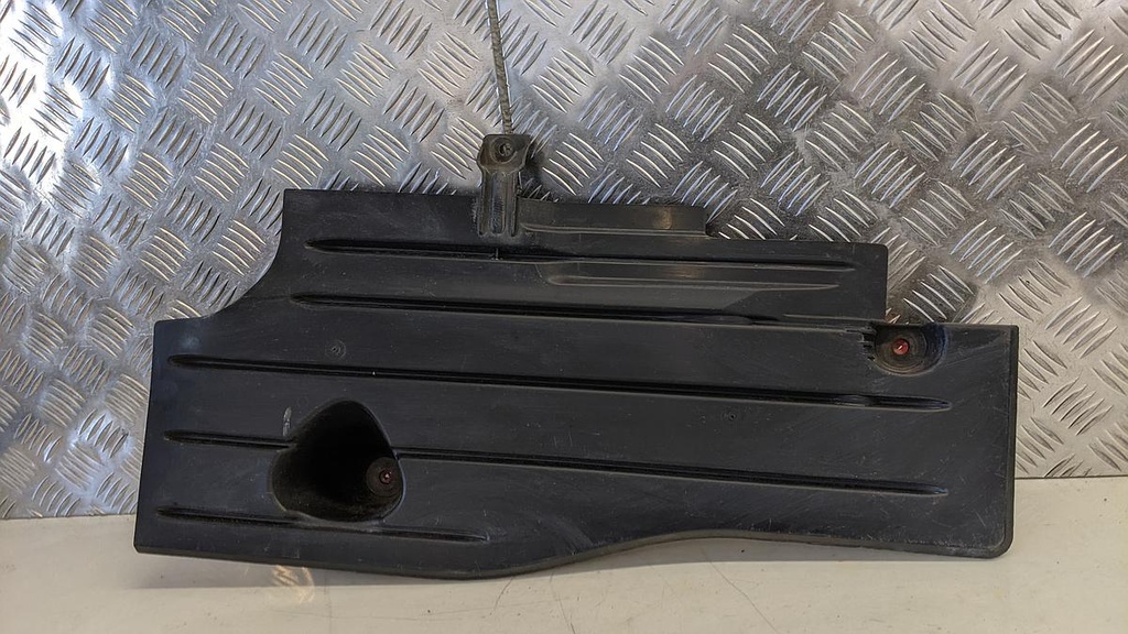 PXL_20230419_072716916.jpg