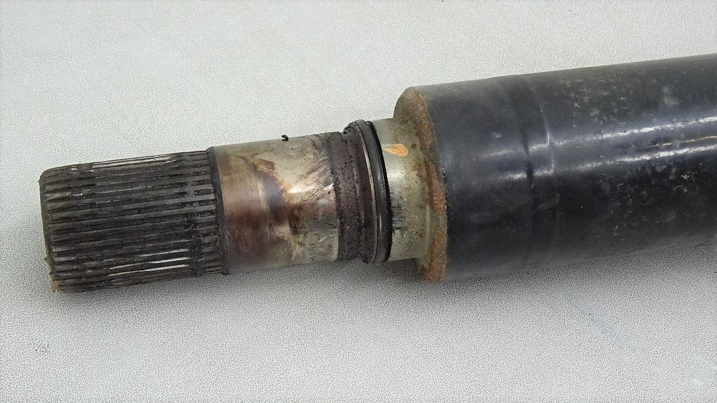 DSC01246.JPG