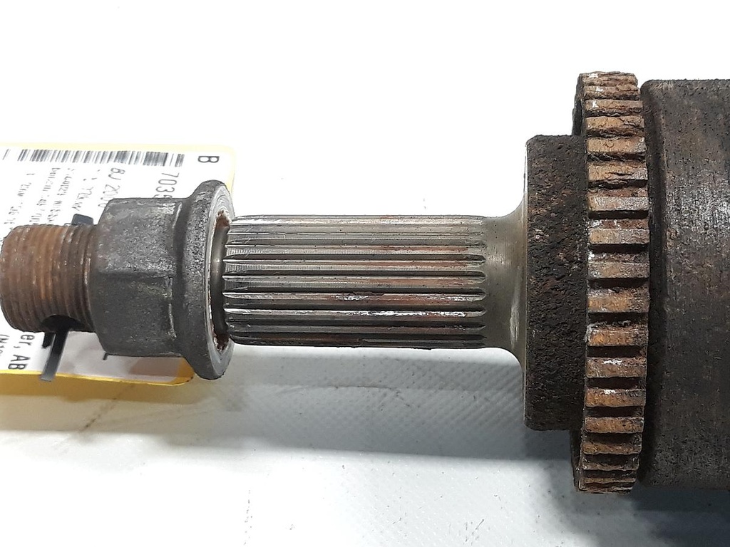 20230427_132619.jpg