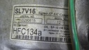 DSC02579.JPG