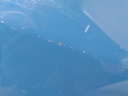 16837151876811001137479549837487.jpg