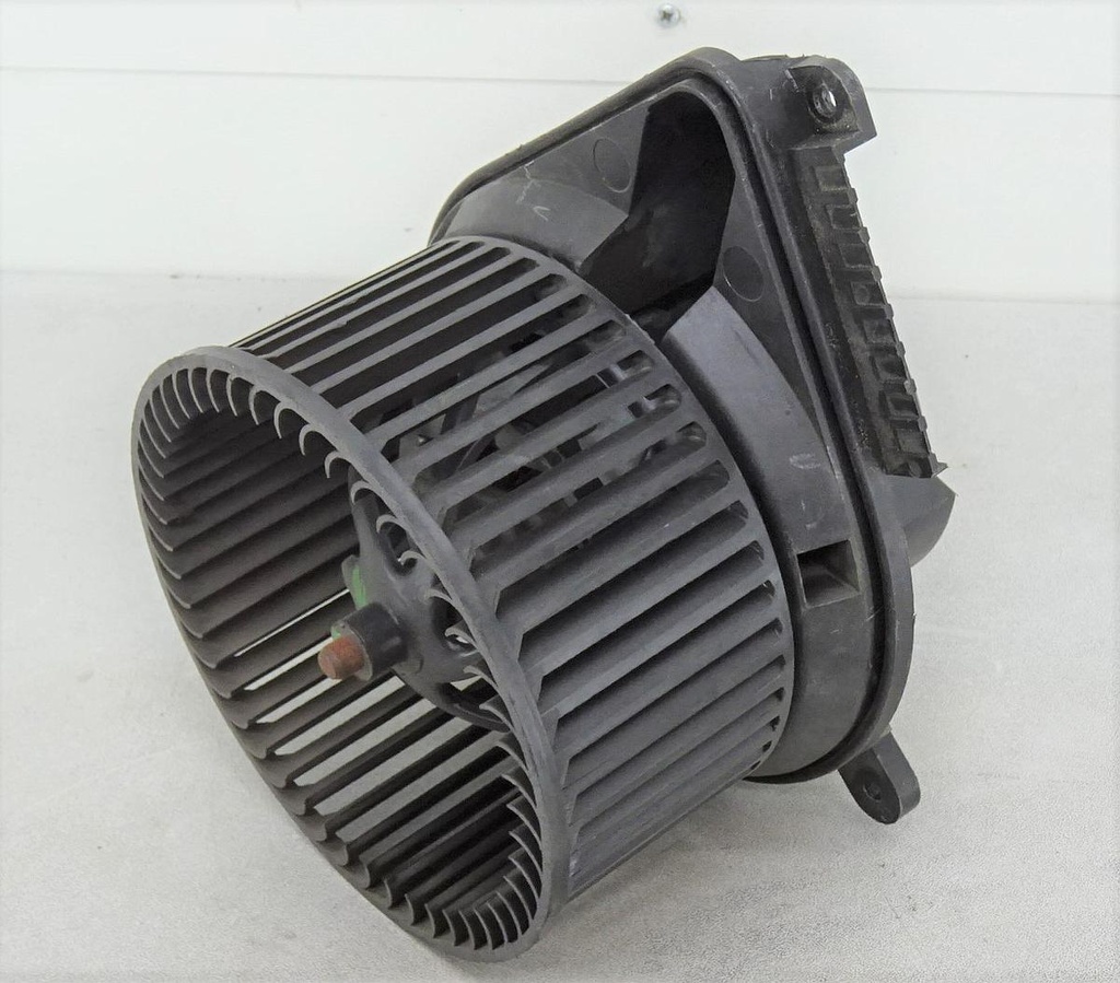 DSC05212.JPG