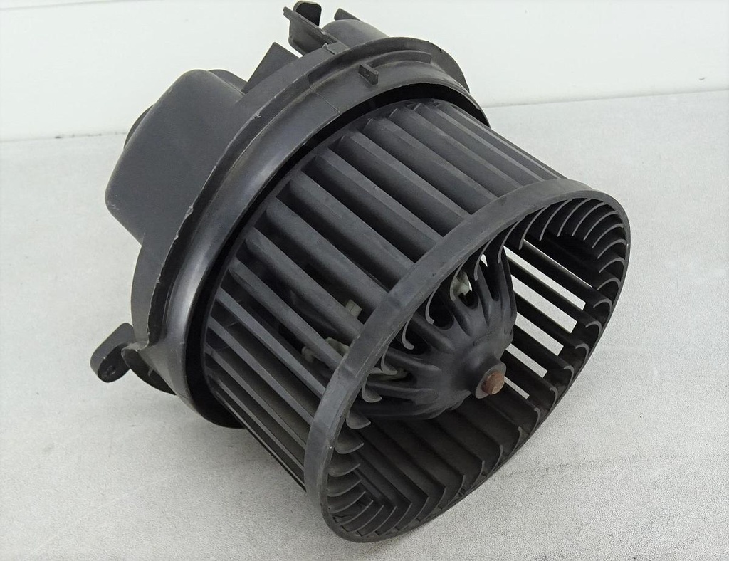 DSC05138.JPG