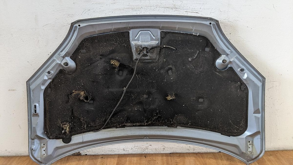 PXL_20230511_133526749.jpg