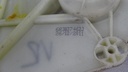 DSC04053.JPG