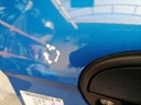 IMG_20230522_090722.jpg