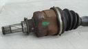 DSC03737.JPG