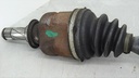 DSC03736.JPG