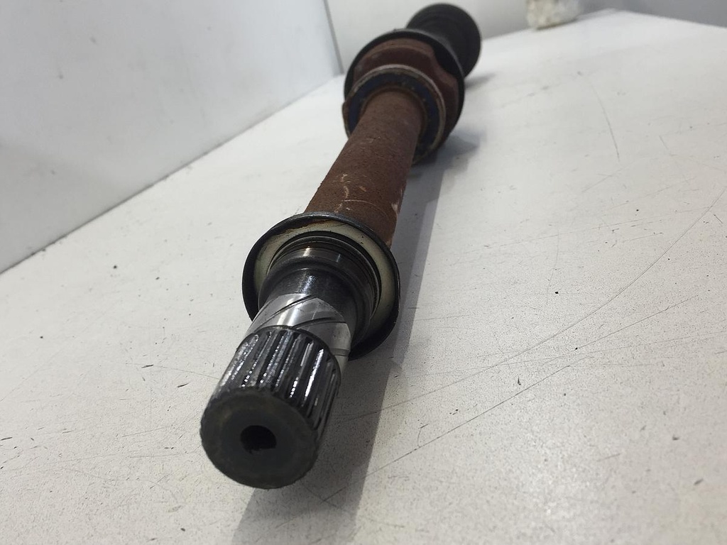 IMG_2497.JPG