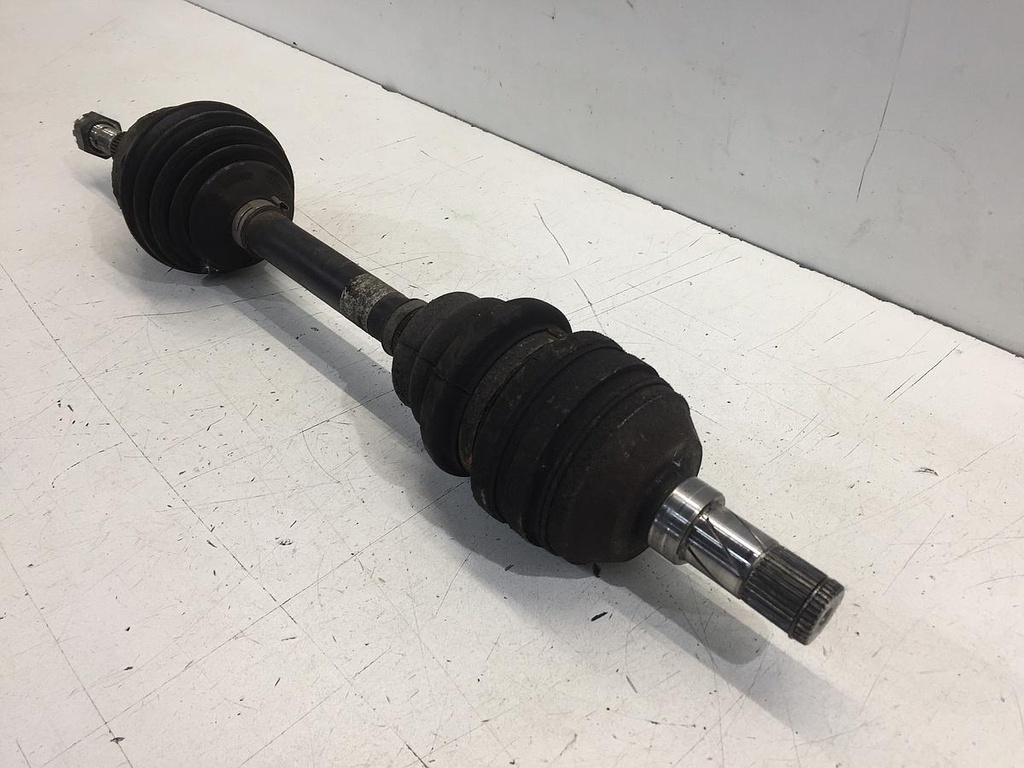 IMG_2642.JPG