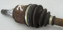 DSC07241.JPG