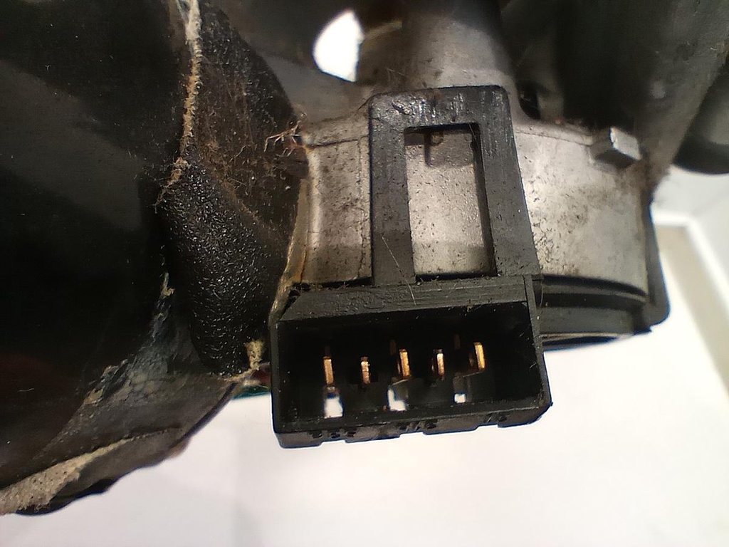 IMG_20230626_094724993.jpg