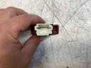 IMG_1703.jpeg