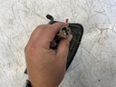 IMG_1894.jpeg