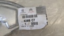 PXL_20230627_085103692.jpg