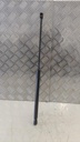 PXL_20230712_121124294.jpg