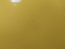 16892474292144340978030749152124.jpg