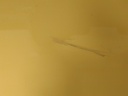 16892474182014801044069304055307.jpg