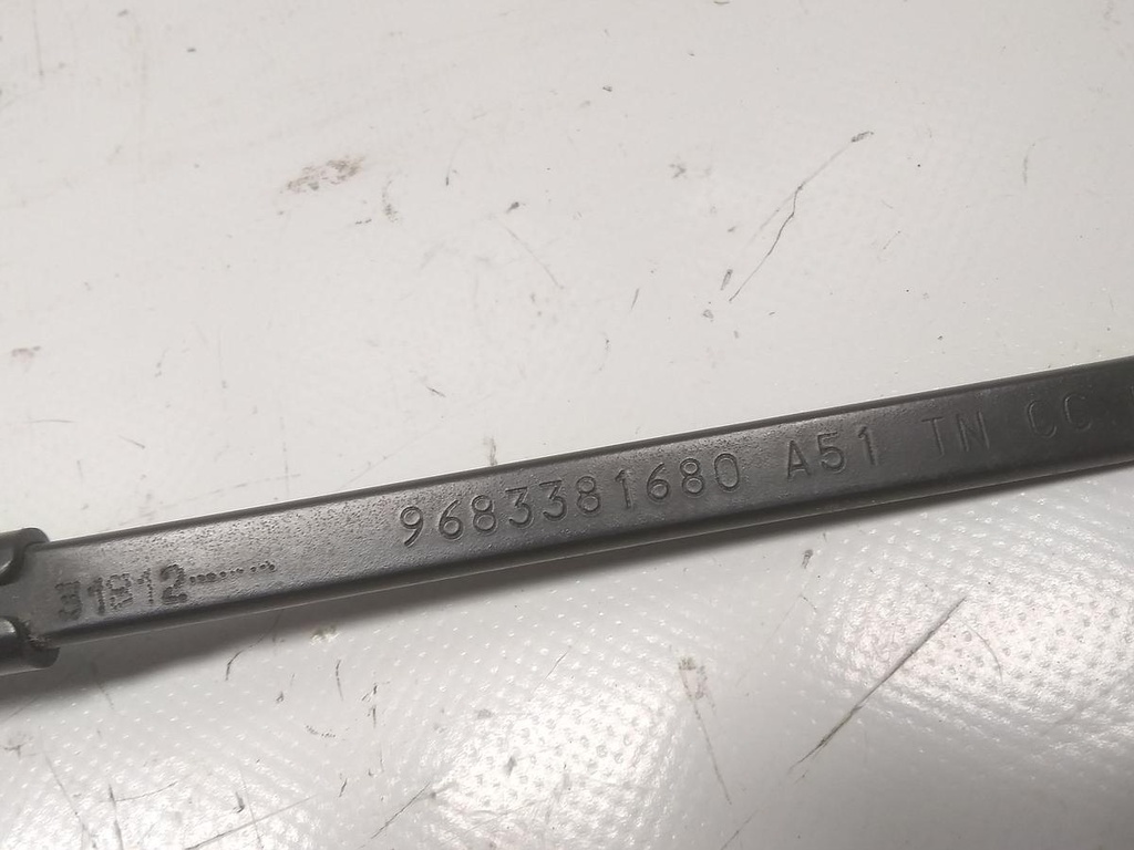 16896016981693885656345965567446.jpg