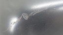 DSC09450.JPG
