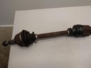 IMG_20230804_115110443.jpg