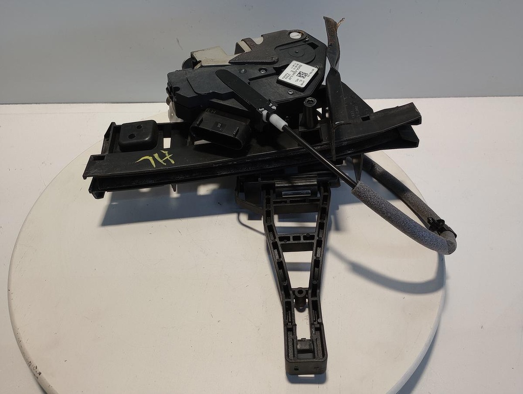 IMG_20230810_112448749.jpg