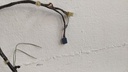 PXL_20230810_113632537.jpg