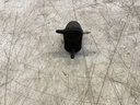 IMG_2722.jpeg