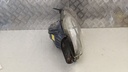PXL_20230823_115421194.jpg