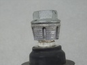 DSC04461.JPG