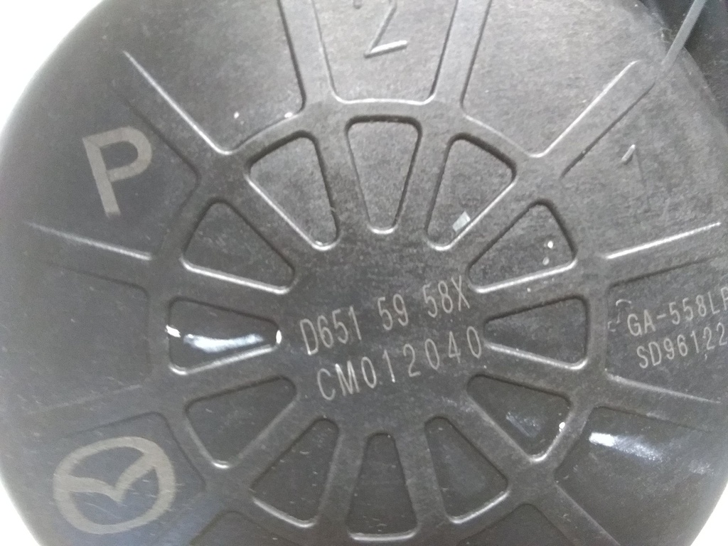 16942554377105430715522239811808.jpg