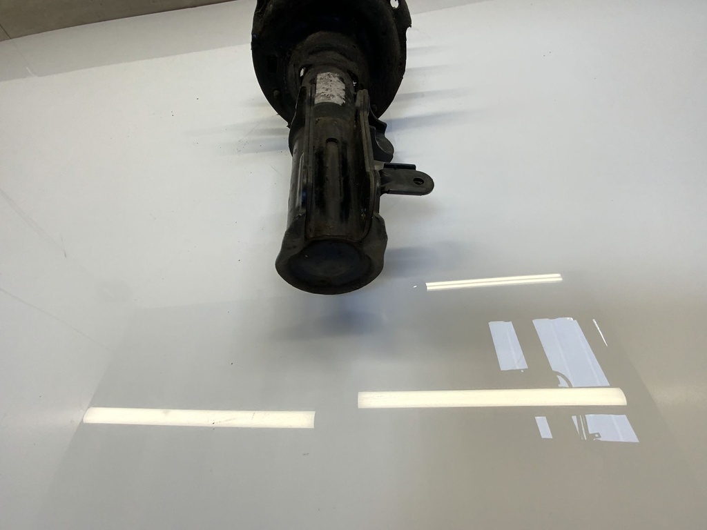 IMG_3150.jpeg