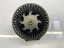 IMG_3665.jpeg