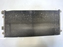 IMG_3679.jpeg