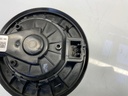 IMG_3737.jpeg