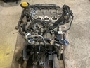 IMG_4119.jpeg