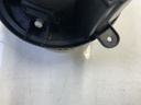 IMG_4293.jpeg