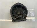 IMG_4515.jpeg